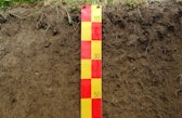 Top 65 cm of a soil profile wall. Soil properties are best assessed by examining a soil profile wall. This involves recording specific parameters in the field and collecting soil samples for subsequent chemical analysis in the laboratory.