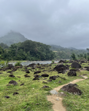 From Mahalevona to Fizoana—a 10km walk through forest and cultivated land, where rice fields and fish farms intersect with the forest’s edge, reflecting the close connection between nature and livelihoods in Madagascar.