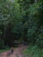 Farankaraina Protected Forest, in Antongil Bay, Madagascar