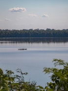 Lake Sandoval, Madre de Dios, Peru