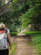Farankaraina Protected Forest, visited by participants of the “True Value of Forests” dialogue in Antongil Bay, Madagascar.