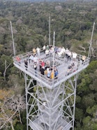 True Value of Forests, South America Wyss Academy Dialogue, Brazil