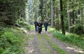 Wyss Academy Dialogue on "The True Value of Forests" visit in the Emmental Valley, Switzerland.