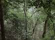 Wyss-Academy-Dialoge zum wahren Wert der Wälder, Maroantsetra, Madagaskar, Juni 2024.