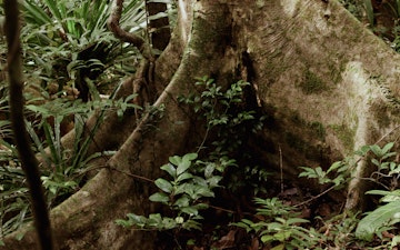 Wyss-Academy-Dialoge zum wahren Wert der Wälder, Maroantsetra, Madagaskar, Juni 2024