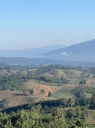 Monitoring of planted trees as part of the Tree 4 All initiative, Nan, Thailand, November 2023.