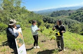 Monitoring of planted trees as part of the Tree 4 All initiative, Nan, Thailand, November 2023.