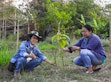 Farmers plant trees, track the growth of the trees, and report the information to tree sponsors.