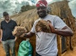 ictor Otieno, Lead Researcher at the National Museum of Kenya (NMK), holds up dried elephant dung. A partnership between the Wyss Academy for Nature and the NMK has produced a novel farming technique using elephant dung as a substrate.