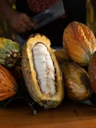 Cacao Beans, Peru