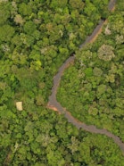 Ruta de la Castaña, Madre De Dios, Peru
