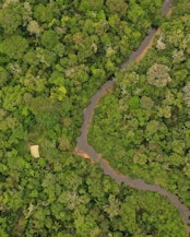 Ruta de la Castaña, Madre De Dios, Peru