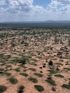 Semi Circular Bunds - grass is growing