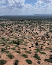 Semi Circular Bunds - grass is growing