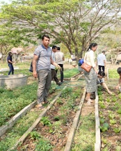 Vegetable Garden School