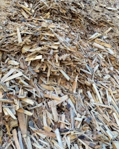 Pile of sawmil woodwaste