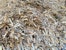 Pile of sawmil woodwaste