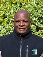 A person with a demure smile.