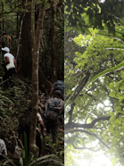 The true Value of Forests Dialogue- Maroantsetra, Madagascar