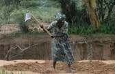 Woman digging semicircular bund