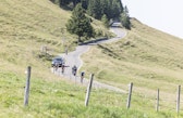 Strasse auf den Chasseral: Wie kann hier sanfter und naturnaher Tourismus gefördert werden?