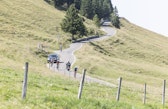 Strasse auf den Chasseral: Hier soll sanfter und naturnaher Tourismus gefördert werden.