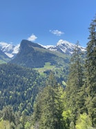 Naturpark Diemtigtal