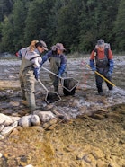 Field data collection at river Sense