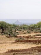 Semi Circular Bunds in Naibunga-Mukogodo, Nothern Kenya