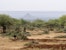 Semi Circular Bunds in Naibunga-Mukogodo, Nothern Kenya
