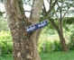 A sign on a tree
