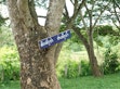 A sign on a tree