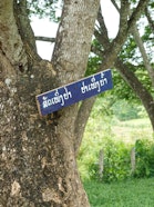 A sign on a tree