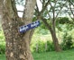 Ein Schild mit der Aufschrift «Tiere sind auf Wälder angewiesen, Wälder sind auf Wasser angewiesen» hängt heute an einem Baum vor einer Schule in Nam Tien – eine kleine, aber bedeutsame Veränderung, die es vor zwei Jahren noch nicht gab.