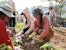 Students in Nam Tien, Xayabury during one of the environmental education trainings