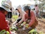Students in Nam Tien, Xayabury during one of the environmental education trainings