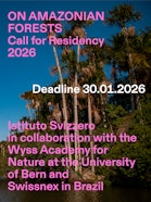 An image of palms with text over it.