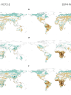Relative change in species richness due to climate change, land use change, and the combination of both.