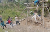 Group of people rescuing an elephant