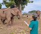 A man on an elephant talking to a woman
