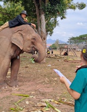 A man on an elephant talking to a woman