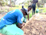 Enlite youth group, working in the tree nurseries
