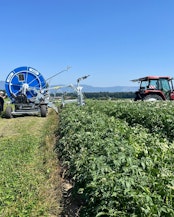 Ressourceneffiziente Bewässerung mit dem Raindancer-System.