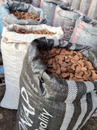 Brazil Nuts, locally known as Amazonian Nuts