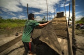 A miner installing the carpet in the sluice washing system to accumulate gold