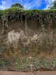 Looking beyond the surface of soils in Mahalevona valley, Madagascar