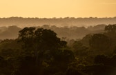 sunrise over Tambopata National Reserve, Peru