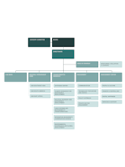 Organizational Chart