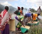 Women-led work at Ol Gaboli, where beekeeping supports household income and sits alongside restoration and site management.