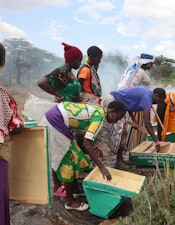 Women-led work at Ol Gaboli, where beekeeping supports household income and sits alongside restoration and site management.